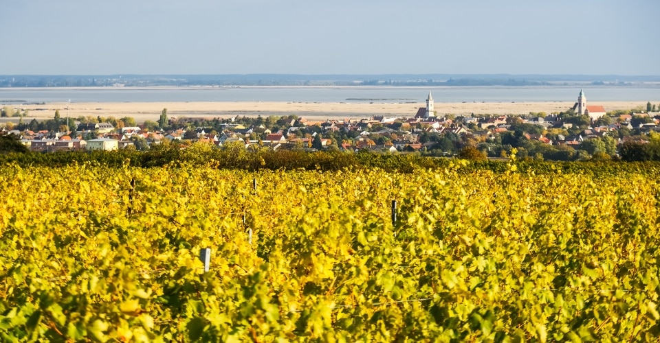 Neusiedler See: Natur, Kultur, Genuss Und Sport | Der Varta-Führer